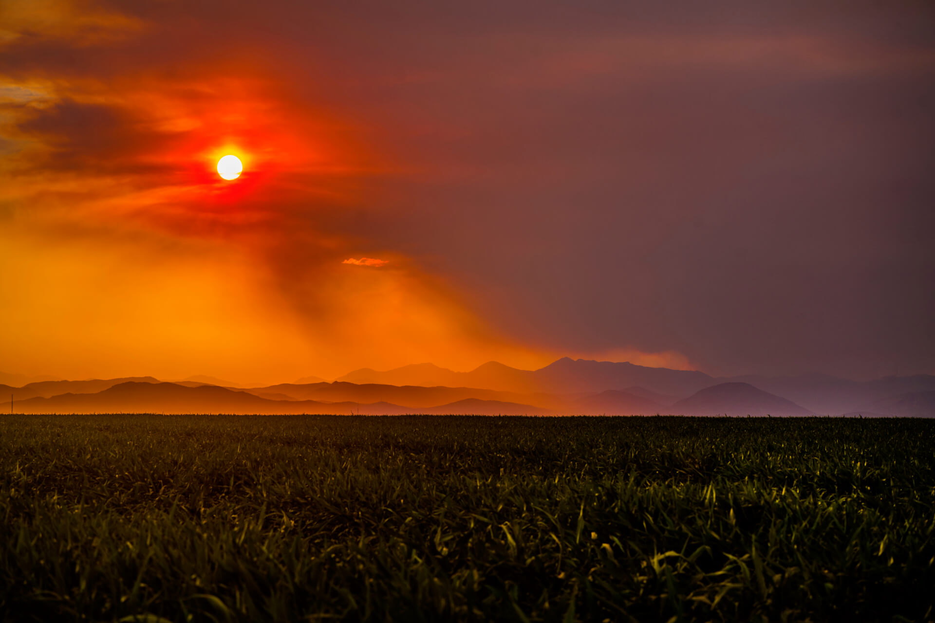 MEDIA: On climate change and Colorado wildfire coverage - The Colorado Independent